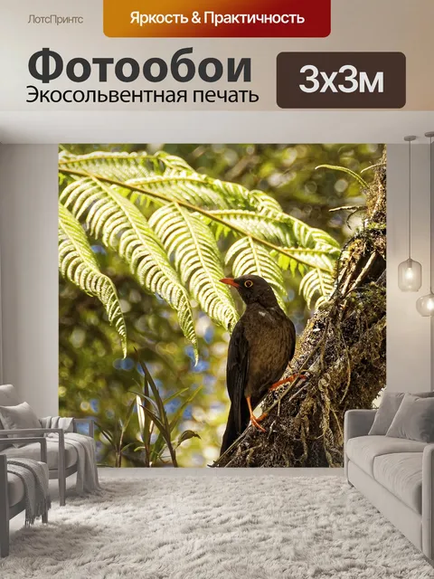 Фотообои Птица