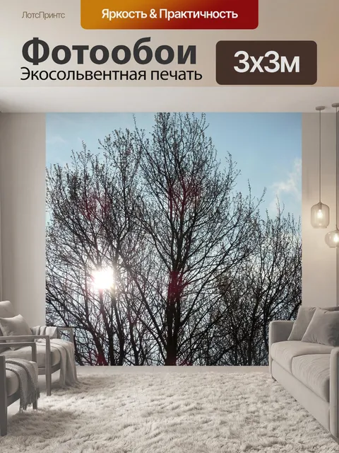 Фотообои Солнце