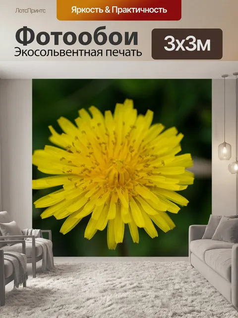 Фотообои Одуванчик