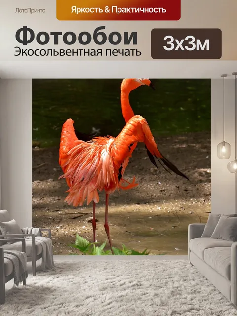 Фотообои Фламинго
