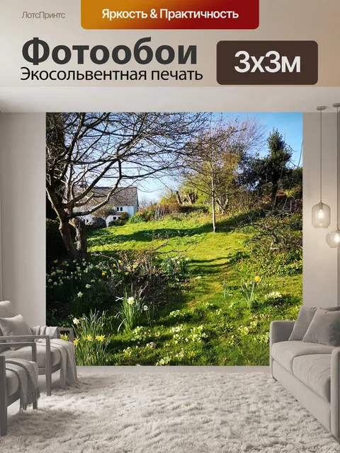 Фотообои Цветы
