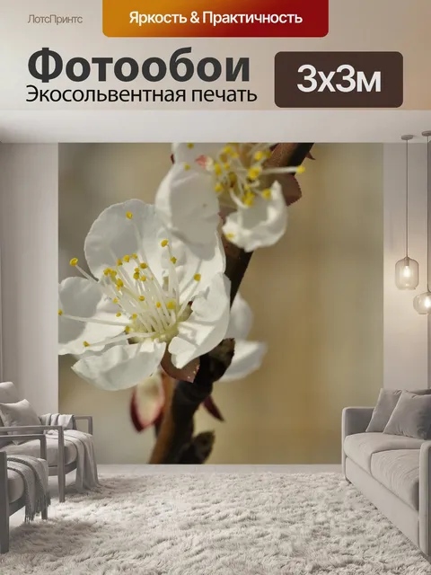 Фотообои Вишни в цвету