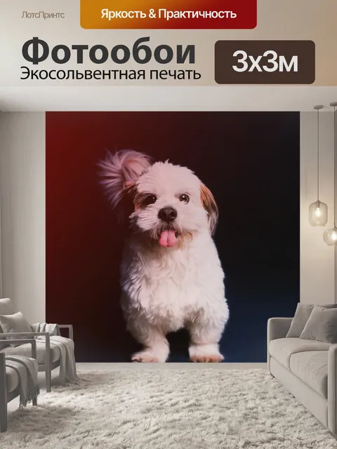 Фотообои Собака