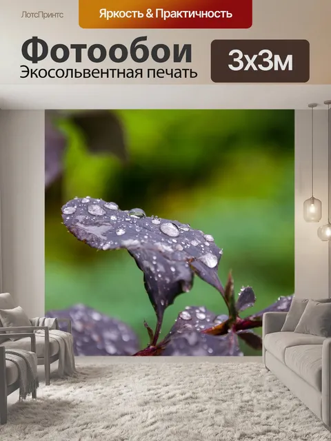 Фотообои Листья