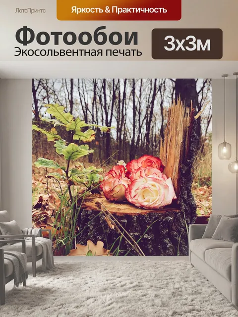 Фотообои Лес
