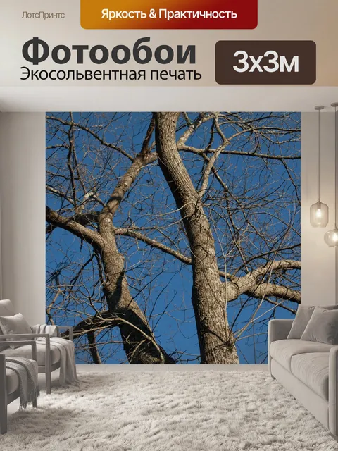 Фотообои Деревья