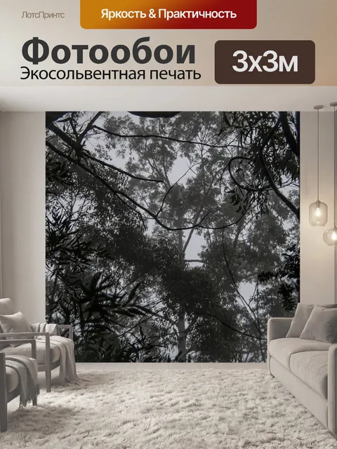 Фотообои Камеди