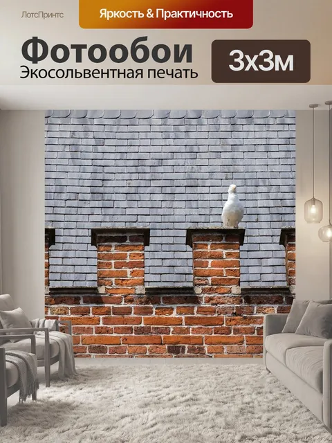 Фотообои Голубь