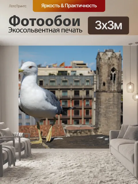 Фотообои Чайка
