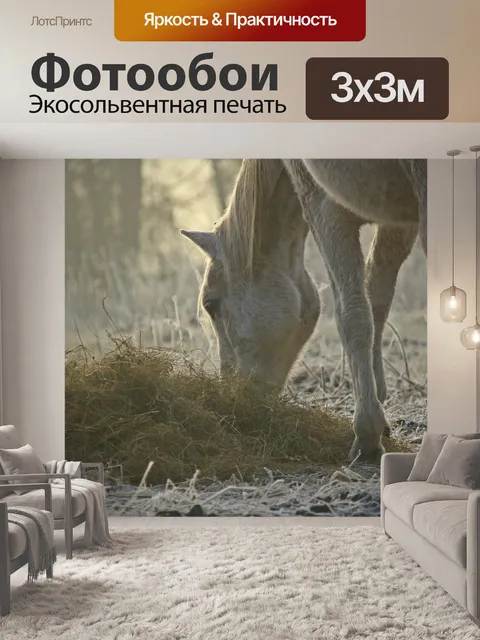 Фотообои Лошадь