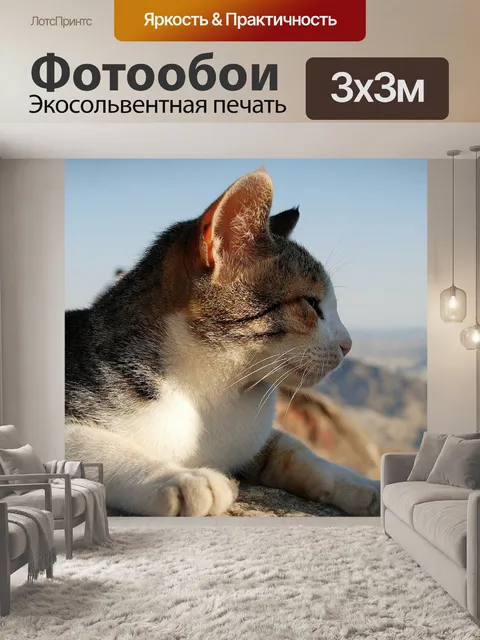 Фотообои Кошка