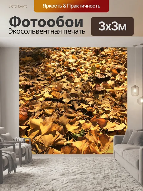 Фотообои Листопадные листья