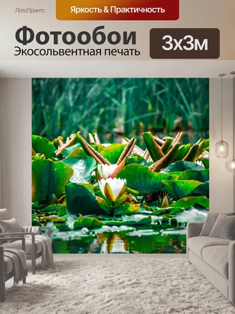 Фотообои Лотос