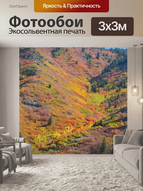 Фотообои Деревья