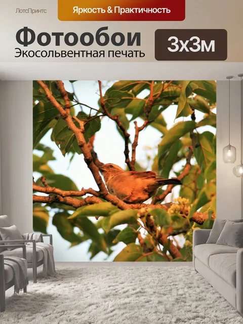 Фотообои маленькая птичка на дереве