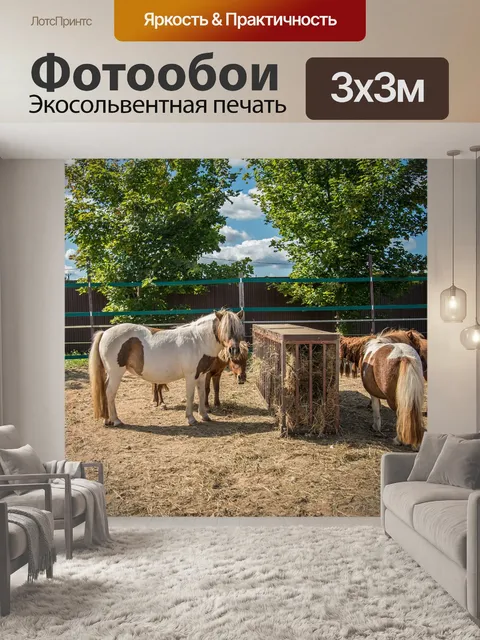 Фотообои Лошади
