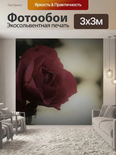 Фотообои Роза