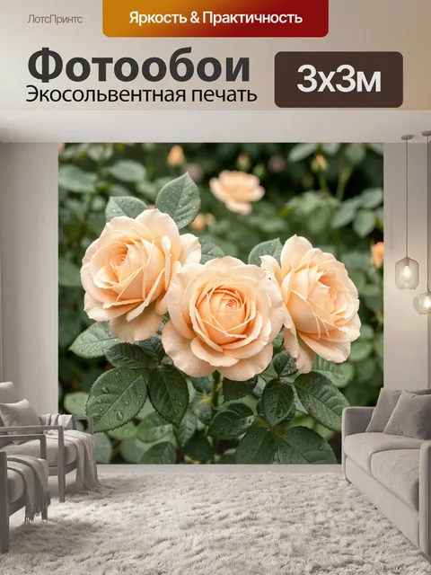 Фотообои Персиковые розы с каплями росы