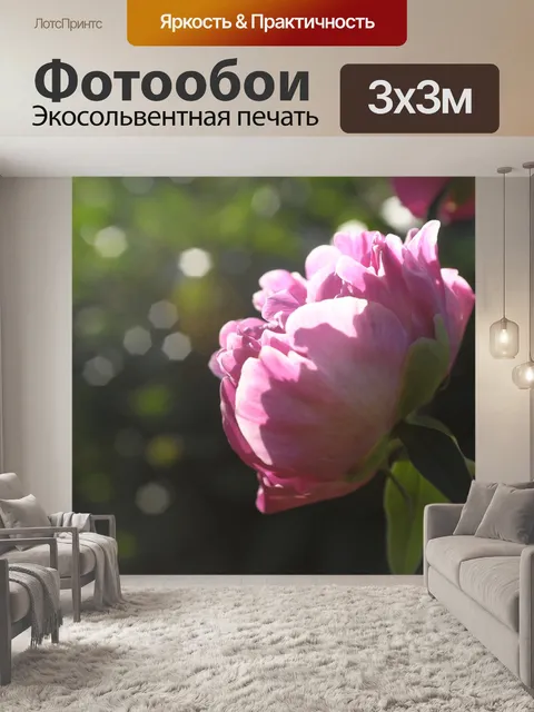 Фотообои Пион