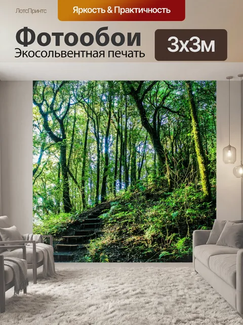 Фотообои Тропический лес в Дои Интанон, Чиангмай