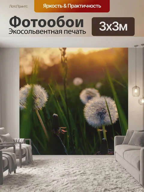 Фотообои Одуванчик