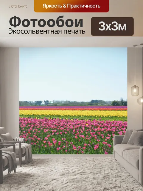 Фотообои Тюльпаны