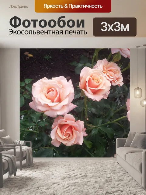 Фотообои Розы