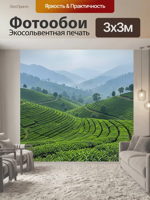 Фотообои Зеленые террасные холмы в тумане