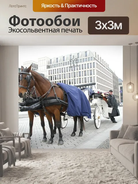 Фотообои Лошади