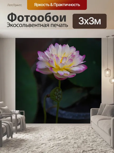 Фотообои Золотой лотос розовый границы