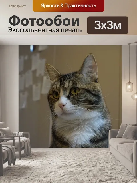 Фотообои Кошка