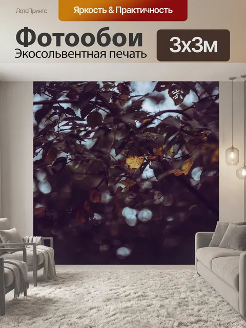 Фотообои Осень
