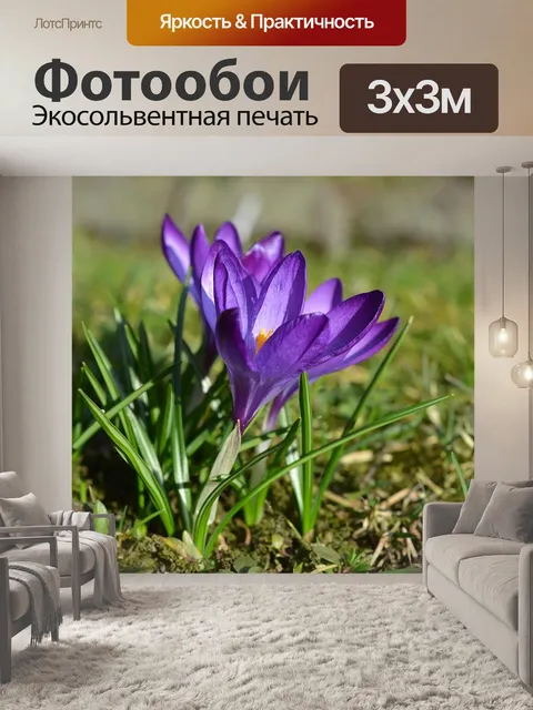 Фотообои Распустились крокусы.