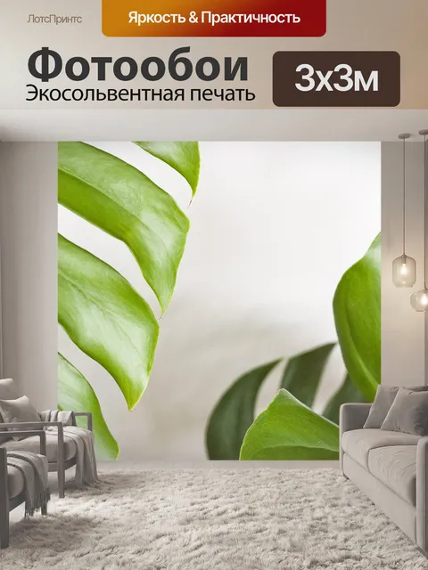 Фотообои Монстера