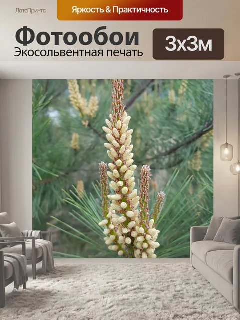 Фотообои Цветок