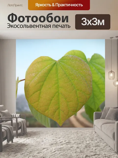 Фотообои Лист