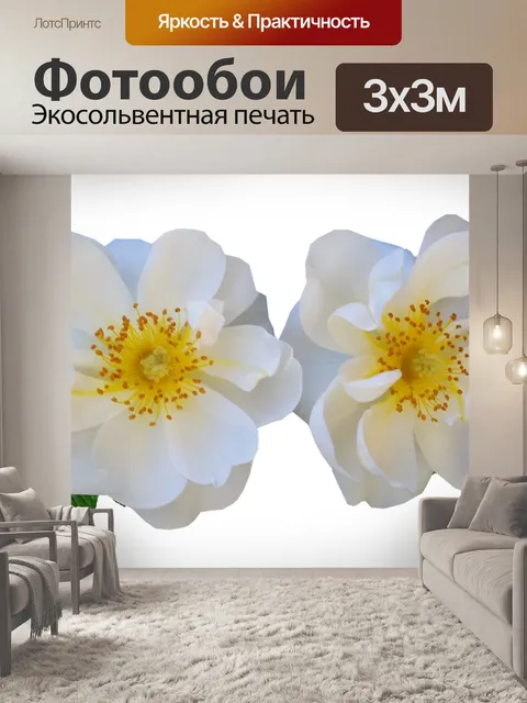 Фотообои Цветы