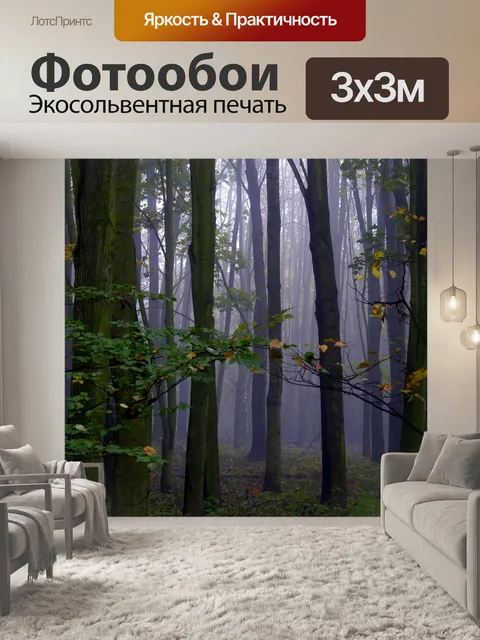 Фотообои Туман