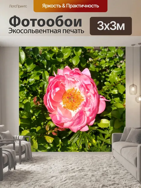Фотообои пион