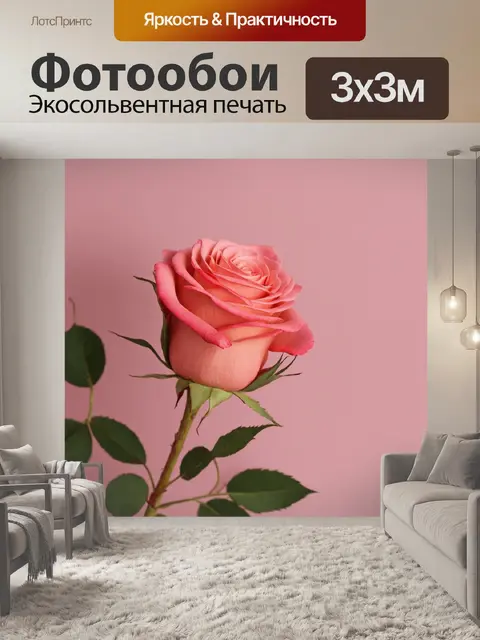 Фотообои розы в стиле минимализм