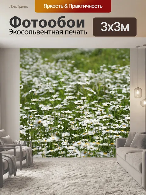 Фотообои Поле