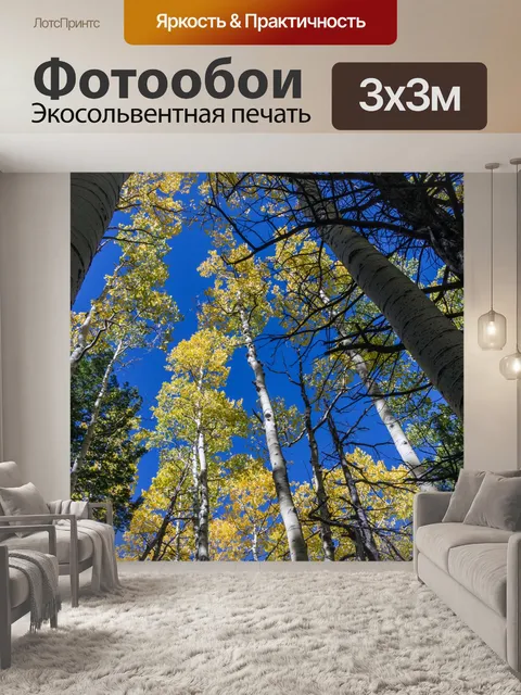 Фотообои Деревья Осенний навес