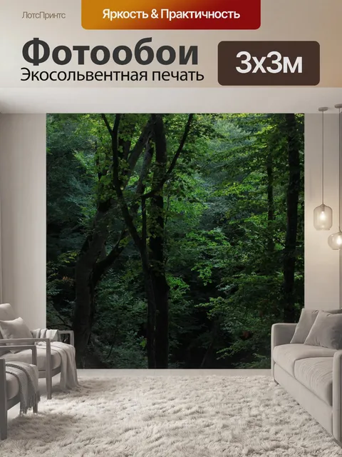 Фотообои Древесина