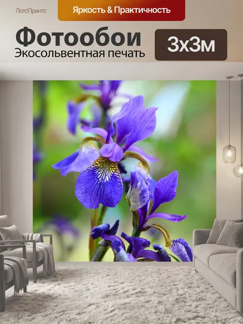 Фотообои Цветы