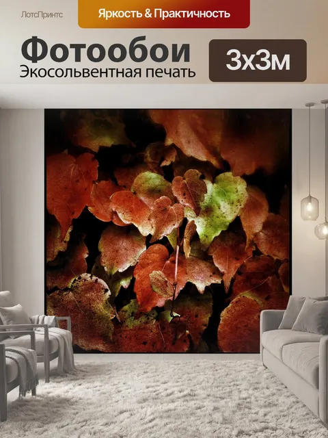 Фотообои Лист