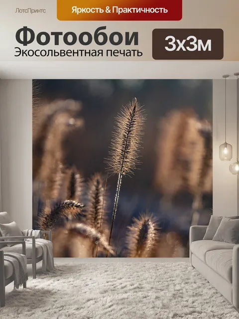 Фотообои Стебли