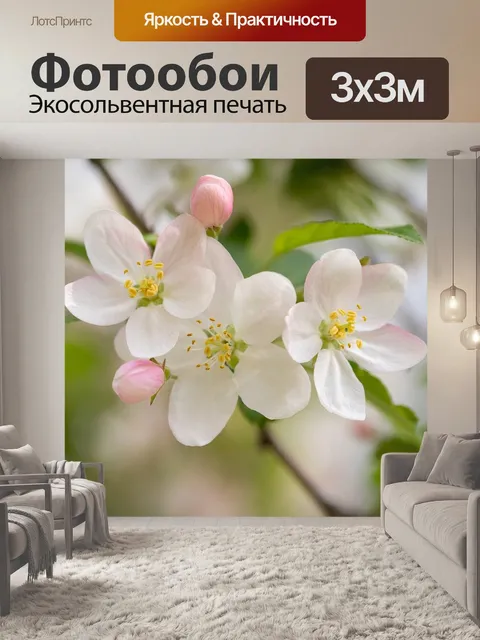 Фотообои Цветы