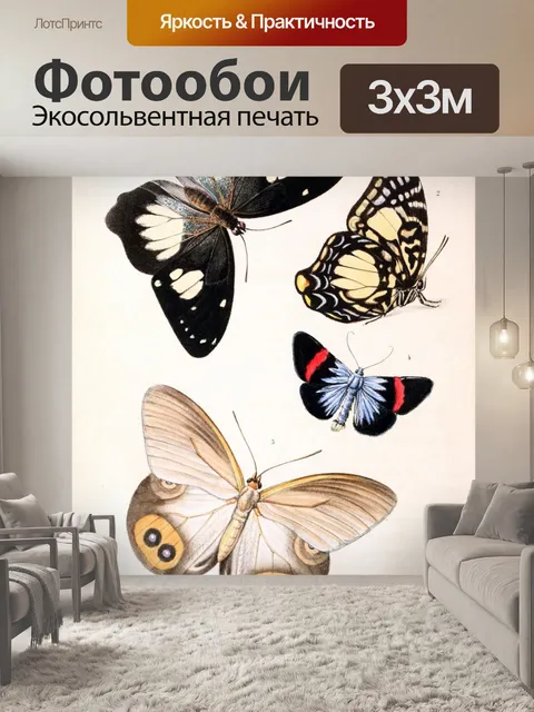 Фотообои Винтажная иллюстрация бабочки