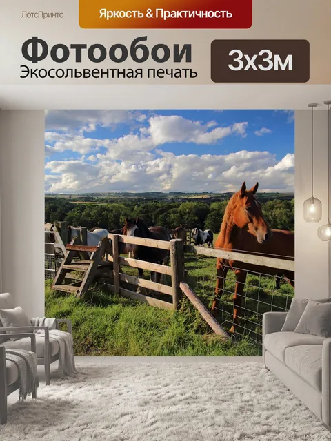 Фотообои Лошади