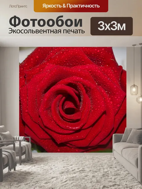 Фотообои Мокрый